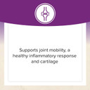 Natural Factors, Osteomove Joint Care, Extra Strength Support For Joint And Bone Health, Non-Gmo, 240 Tablets (120 Servings)