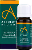 Absolute Aromas High Altitude Lavender Lavandula Angustifolia Essential Oil 100 Pure Natural Vegan Undiluted And Crueltyfree For Use In Diffusers Oil Burners And Aromatherapy Blends, 10 Millilitre