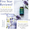 Absolute Aromas High Altitude Lavender Lavandula Angustifolia Essential Oil 100 Pure Natural Vegan Undiluted And Crueltyfree For Use In Diffusers Oil Burners And Aromatherapy Blends, 10 Millilitre