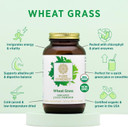 PURE SYNERGY Organic Wheat Grass Juice Powder | Chlorophyll-Rich Green Juice Powder | Raw Organic USA Wheat Grass Juice | for Energy, Alkaline Balance, and Digestion Support (5.3 oz. Powder)