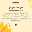 Method Liquid Laundry Detergent; Ginger Mango Scent; Plant-Based Stain Remover; 66 Loads Per 53.5 Fl Oz Bottle; 4 Pack (264 Total Loads); Packaging May Vary