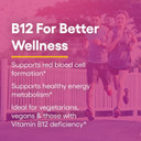 Natural Factors, Vitamin B12 Methylcobalamin 1,000 Mcg, Offers The Most Metabolically Active Form Of B12, Quick Dissolving Tablets