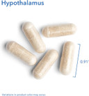 Allergy Research Group Hypothalamus Supplement - Endocrine Support, Natural Glandular, 500Mg Adrenal Support, Adrenal Pituitary, Adrenal Gland Function, Bovine, Lyophilized, Vegicaps - 100 Count