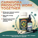 Carnivora Vegi-Caps - Gluten Free, Vegan Friendly Capsules To Strengthen And Support Your Immune System (100 Capsules)
