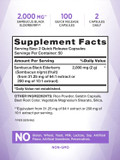 Nature'S Truth Black Elderberry Capsules | 100 Count | Super Concentrated Sambucus Extract | Non-Gmo And Gluten Free