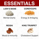 Rekemend Mushroom Supplement For Immune Support - Contains Lions Mane, Cordyceps & Reishi Mushroom Extracts - 60 Capsules