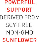 Natural Factors, Phosphatidylserine, Support For Memory, Concentration And Brain Functions, Soy And Gluten Free, 60 Softgels