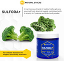 Natural Stacks Sulforaphane Supplement 25Mg - Organic Broccoli Sprouts Supplement - Superfood Kale Leaf Powder With N-Acetyl-L-Cysteine (Nac) - Brain Health Supplements, 120 Vegan Capsules