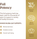 Solgar Ginkgo Biloba Leaf Extract, 180 Vegetable Capsules - Brain Health & Mental Alertness - Standardized Full Potency (Sfp) - Non-Gmo, Vegan, Gluten Free, Dairy Free, Kosher, Halal - 180 Servings