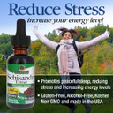 Nature'S Answer Schisandra Berry | Super Concentrated Herbal Supplement | Helps Reduce Stress & Fatigue | Gluten-Free, Alcohol-Free 1Oz (1 Count )