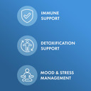 Dr. Mercola Complete Spore Restore, 30 Servings (30 Capsules), Sbo Probiotic, 4 Billion Cfu, Dietary Supplement, Supports Healthy Immune Function, Non-Gmo