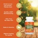 Seabuckwonders Sea Buckthorn Oil Blend, Omega-7 Complete, Max Potency, 120 Count Softgels