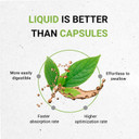 Secrets Of The Tribe Cedar Berry Alcohol-Free Liquid Extract, Wildcrafted Cedar Berries (Juniperus Monosperma) Dried Berry Tincture Supplement (4 Fl Oz)