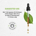 Secrets Of The Tribe Black Elderberry Alcohol-Free Tincture (Glycerite) 680 Mg Usda Organic Black Elderberry (Sambucus Nigra) Dried Berry (4 Fl Oz) Immune Support Supplement