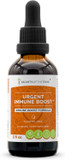 Urgent Immune Boost Alcohol-Free Extract, Tincture, Glycerite Elder, Echinacea, Honeysuckle, Ginger, Horseradish, Osha, Andrographis, Garlic, Wild Indigo. Immune Boost Formula(2 Fl Oz)