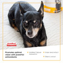 Vetriscience Golden Years Clear And Bright Vision Support For Senior Dogs, Chicken Flavor, 60 Chews - Supports Cloudy And Teary Eyes And Ocular Blood Flow