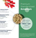 Designs For Health Gi Microb-X - Botanical Gut Support, Cleanse + Detox Supplement With Tribulus, Berberine + Barberry Extract - Vegetarian + Non-Gmo (60 Capsules)