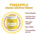 Natierra Pineapple Organic Smoothie Powder | Usda Organic | 7 Oz Jar