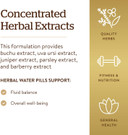 Solgar Herbal Water Pill, 100 Vegetable Capsules - Supports Fluid Balance - Concentrated Herbal Extracts - Non-Gmo, Vegan, Gluten Free, Dairy Free, Kosher, Halal - 100 Servings