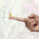 Nature'S Answer Reishi Mushroom Mycelia Vegetarian Capsules, 90-Count | Immune Support | Promotes Cardiovascular Health | Liver Support