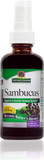 Nature'S Answer Alcohol-Free Sambucus Extract Spray, 2-Ounces | Immune System Support | Vegan, Gluten-Free, No Artificial Flavors Or Preservatives | Single Count