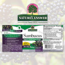 Nature'S Answer Alcohol-Free Sambucus Extract Spray, 2-Ounces | Immune System Support | Vegan, Gluten-Free, No Artificial Flavors Or Preservatives | Single Count
