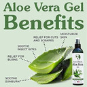Earth'S Daughter Organic Aloe Vera Gel From 100% Pure And Natural Cold Pressed Aloe - Great For Face - Hair- Sunburn - Bug Bites - 8 Oz Soothes And Hydrates Skin, Non Greasy, Absorbs Quickly Into Your Skin8 Fl Oz (Pack Of 1)
