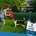 Vetriscience Glycoflex Stage 1 Hip And Joint Supplement For Dogs  Basic Joint Support Chews With Green Lipped Mussel, Dmg, And Glucosamine For Dogs, Chicken Liver Flavor, 120 Bite-Sized Chews