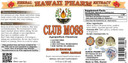 Club Moss Liquid Extract, Club Moss (Lycopodium Clavatum) Tincture Supplement 4 Oz