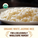 Mountain High Organics, Certified Organic White Jasmine Rice, Pack Of 6 1Lb Bags