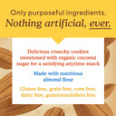 Simple Mills Almond Flour Crunchy Cookies, Toasted Pecan - Gluten Free, Vegan, Healthy Snacks, Made With Organic Coconut Oil, 5.5 Ounce (Pack Of 6)