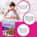 Lactation Cookies Mix - Oatmeal Breastfeeding Cookie Supplement Support For Breast Milk Supply Increase (Cinnamon Raisin, 1 Pound (Pack Of 1))