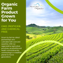 Mountain High Organics Certified Organic Expeller-Pressed Coconut Oil 1/128Oz