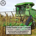 Ground Raw Pumpkin, Sunflower, Chia, Flax, Hemp Seed Meal By Gerbs - 4 Lbs - Top 11 Food Allergen Free & Non Gmo - Vegan & Kosher  Premium Full Oil Content Protein Powder