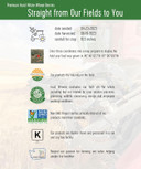 Hard White Wheat Berries | 3 Lbs | Cotton Drawstring Bag | Non-Gmo Project Verified | Kosher | Family Farmed