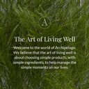 Pineapple Ginger Diffuser Refill