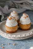 Birch & Meadow 8 Oz Of Instant Cheesecake Mix, Delicious Taste, Creamy Texture, Easy To Make
