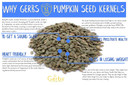 Lightly Sea Salted Pumpkin Seed Kernels By Gerbs - 4 Lbs - Top 11 Food Allergen Free & Non Gmo - Premium Dry Roasted Shelled Pepitas  Cog Mexico