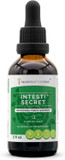 Secrets Of The Tribe - Intesti Secret, Herbal Supplement Blend Drops Alcohol-Free Liquid Extract, Intestinal Tract Support (2 Fl Oz)