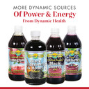 Dynamic Health Mangosteen Gold | Organic Mangosteen 100% Juice | Vegetarian, No Gluten Or Bpa, Dietary Supplement | 16Oz