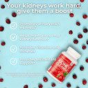 Health Plus Advanced Kidney Cleanse With Cranberry Extract, Turmeric Root And Coq10, Helps Support Healthy Kidney Function & Urinary Tract Wellness, 60 Capsules Health Plus Advanced Kidney Cleanse With Cranberry Extract, Turmeric Root And Coq10, Helps Support Healthy Kidney Function & Urinary Tract Wellness, 60 Capsules