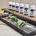 Healing Solutions 10Ml Oils - Eucalyptus Essential Oil - 0.33 Fluid Ounces