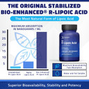 Geronova Research R-Lipoic Acid 300Mg 120 Caps - Stabilized R-Alpha Lipoic Acid With Superior Bioavailability, Metabolic Activity & Healthy Aging Support - Gluten Free & Non-Gmo Antioxidant Supplement