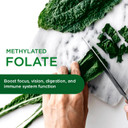 Emerald Labs Complete Clinical Multi - Multivitamin With Methylated Folate, Vitamin D3, Digestive Enzymes & More For Gut Health, Immune Support & More* - 120 Vegetable Capsules (30-Day Supply)