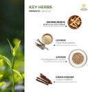 Kerala Ayurveda Promactil - Herbal Capsules With Ashwagandha To Nourishe Male Reproductive Tissues, Support Vitality, And Maintains Immunity, 60 Count