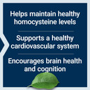 Life Extension Homocysteine Resist - For Heart & Brain, Cognitive Health Support Supplement  Vitamin B2, B6 & B12 + Folate - Once-Daily, Non-Gmo, Gluten-Free - 60 Vegetarian Capsules