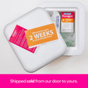 Florajen Acidophilus Probiotics, Gut Health, Vaginal Health, And Immune Support Supplement, Constipation And Bloating Relief For Adults, 60 Capsules (Refrigerated)