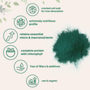 Micro Ingredients Organic Chlorella Powder, 20 Ounces | Broken Cell Wall For Complete Absorption | Raw Superfood Supplement, Rich In Protein & Vitamins | Non-Gmo, Vegan, Non-Irradiated