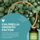 Healthforce Superfoods Chlorella Manna - Tablets - 400 Vegan Tablets