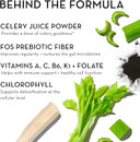 Hum Celery Juice Fiber Gummies The First Prebiotic Celery Juice Gummy, Supports Detoxification And A Daily Green Boost With Celery Juice, Chlorophyll, And Prebiotic Fiber(60 Count)